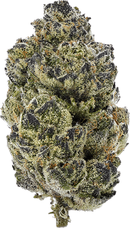 Double Fudge Cookies